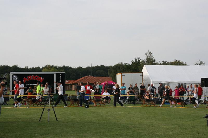 CENTA 049.jpg
